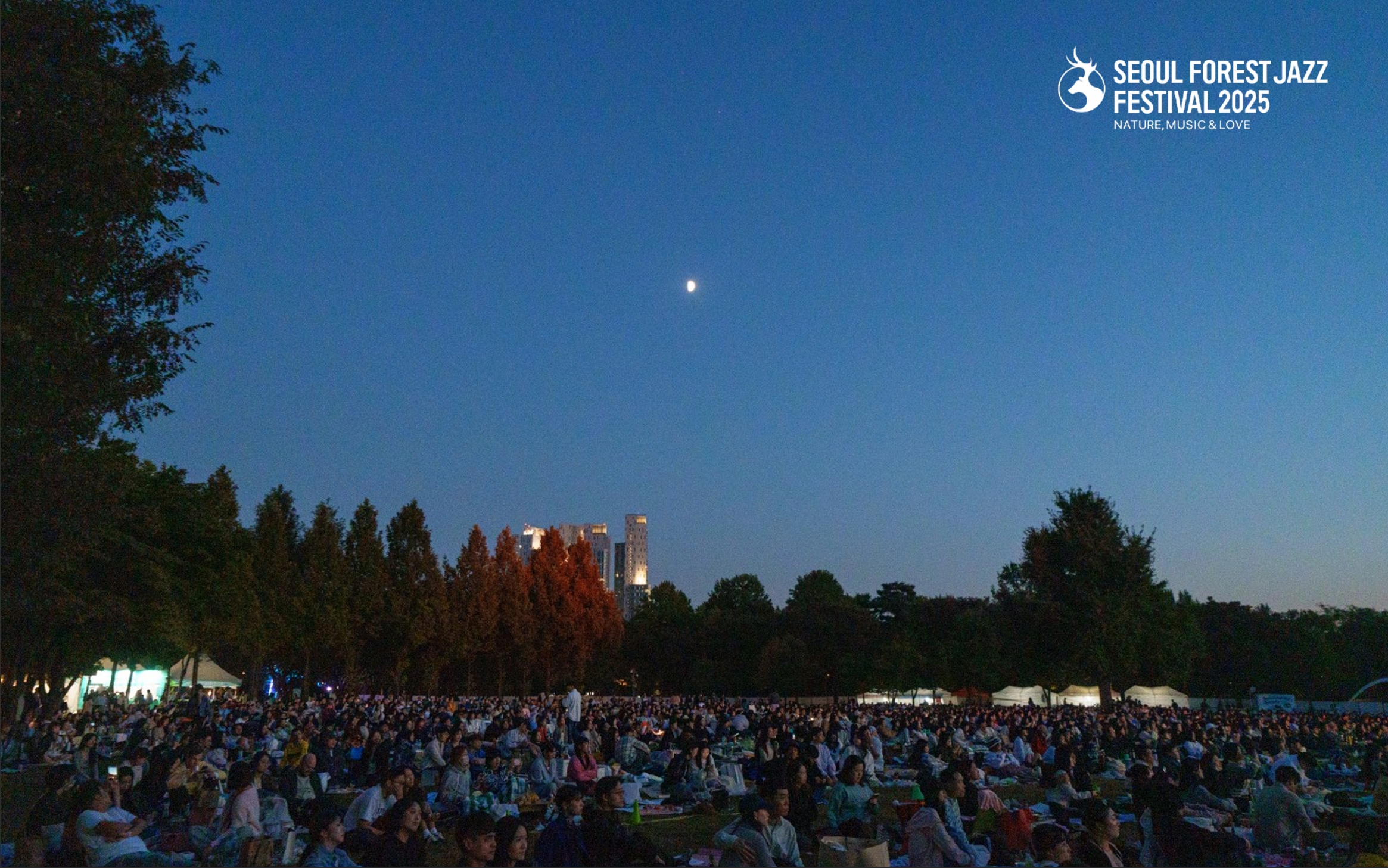 seoul-forest-jazz-festival-2025-night-concert-crowd-under-moonlight